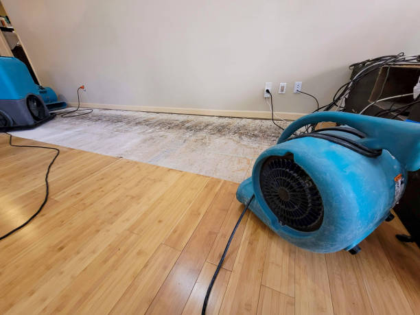 Professional Basement Flood Cleanup technician working in Frederic, MI